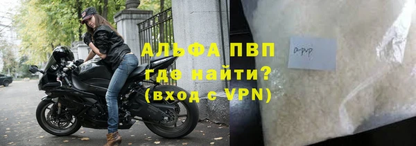 кокс Арсеньев