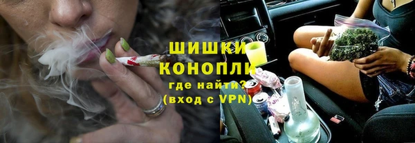 стаф Аркадак