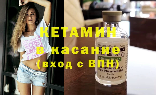 стаф Аркадак