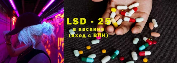 стаф Аркадак
