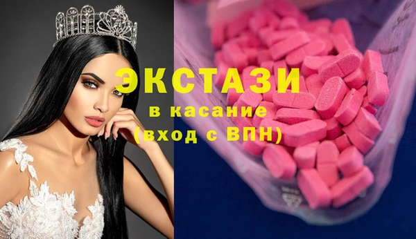 стаф Аркадак