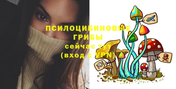 стаф Аркадак