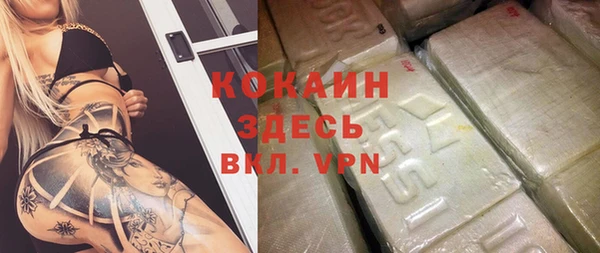 стаф Аркадак