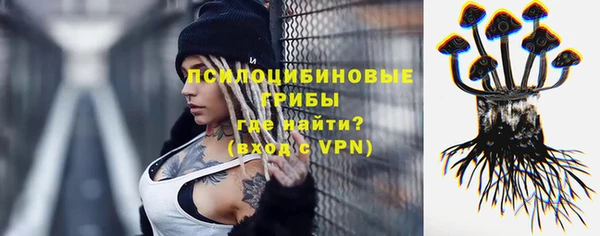 стаф Аркадак