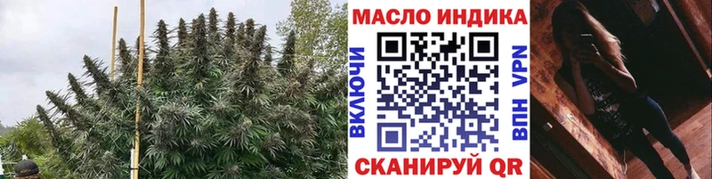 Купить где  Мариинск  ТГК THC oil 